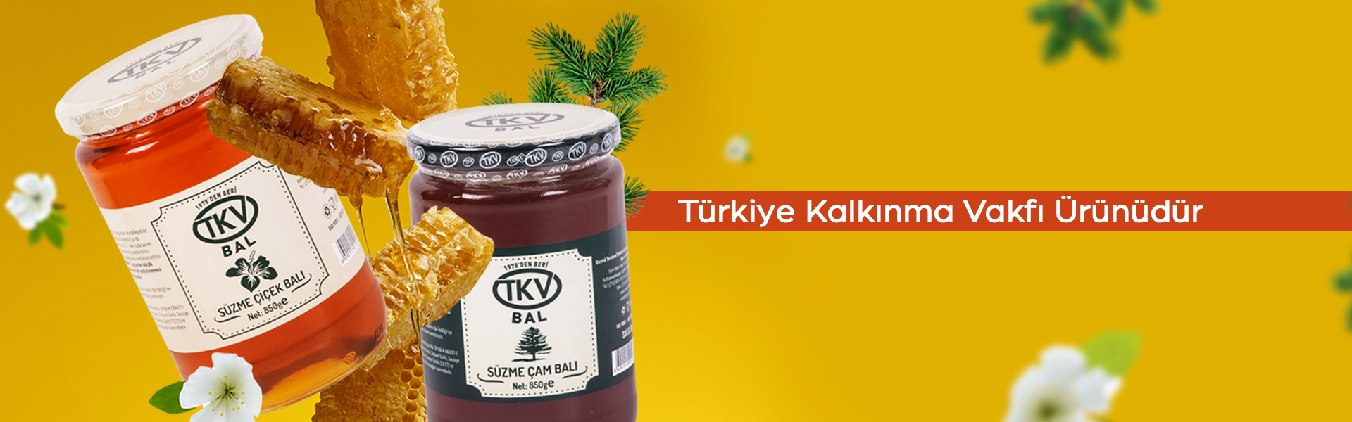 Banner Alt Etiketi