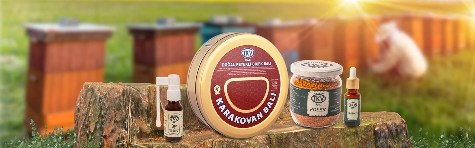 Banner Alt Etiketi
